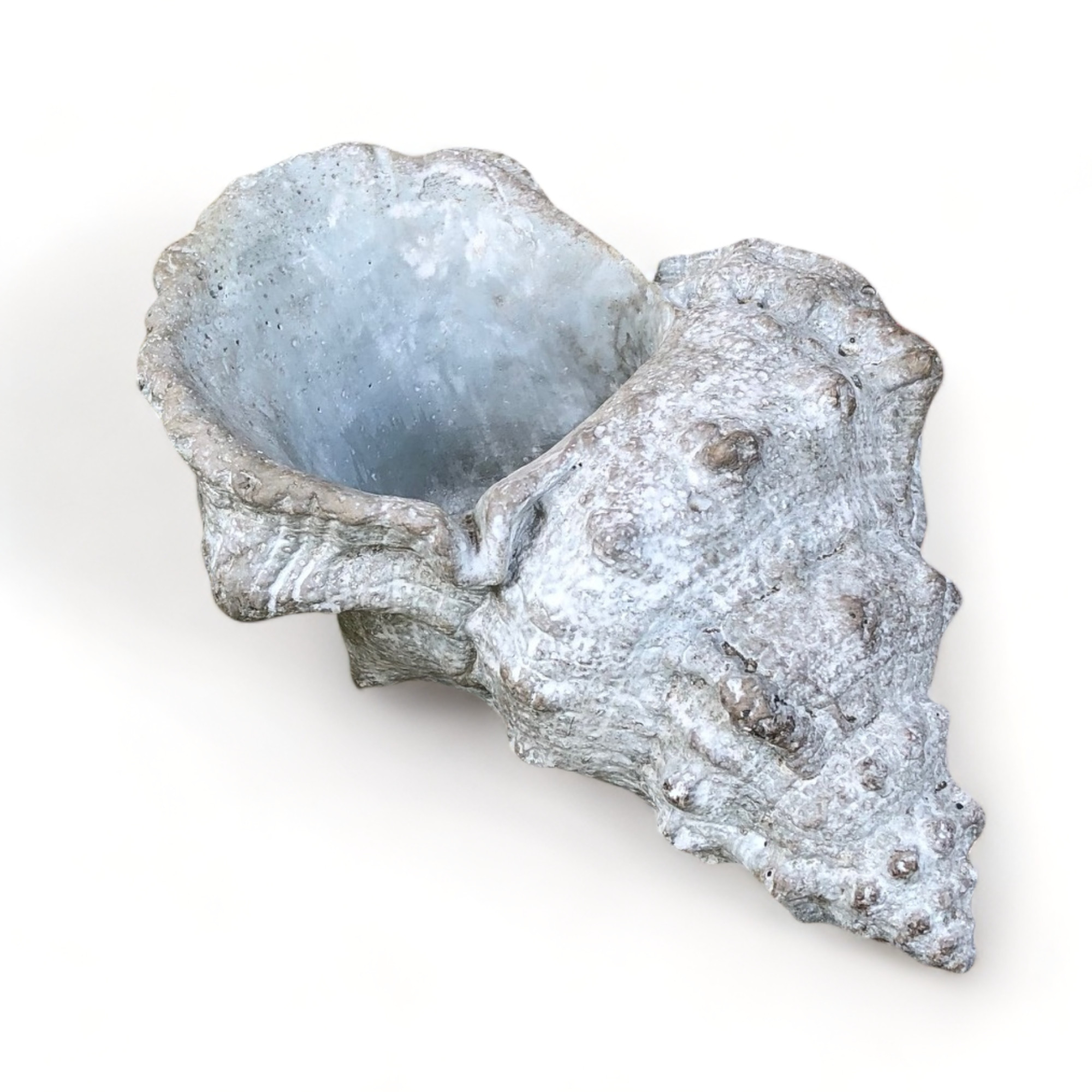 Pflanztopf Pflanzgefäß Pflanzschale Gartendekoration Design Muschel Pflanztopf Pflanzgefäß Pflanzschale Gartendekoration Design Muschel