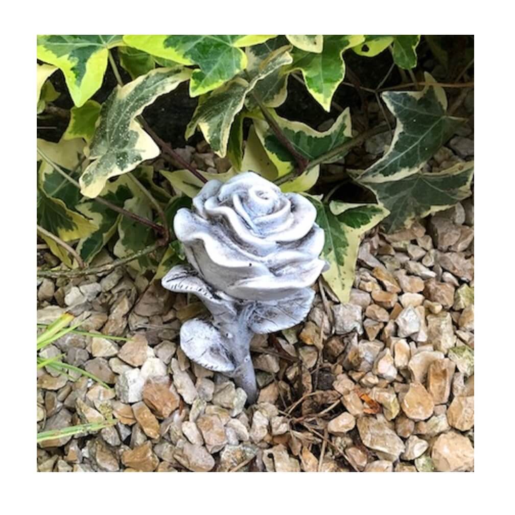 Rose Stielrose 13 cm Rose Stielrose 13 cm