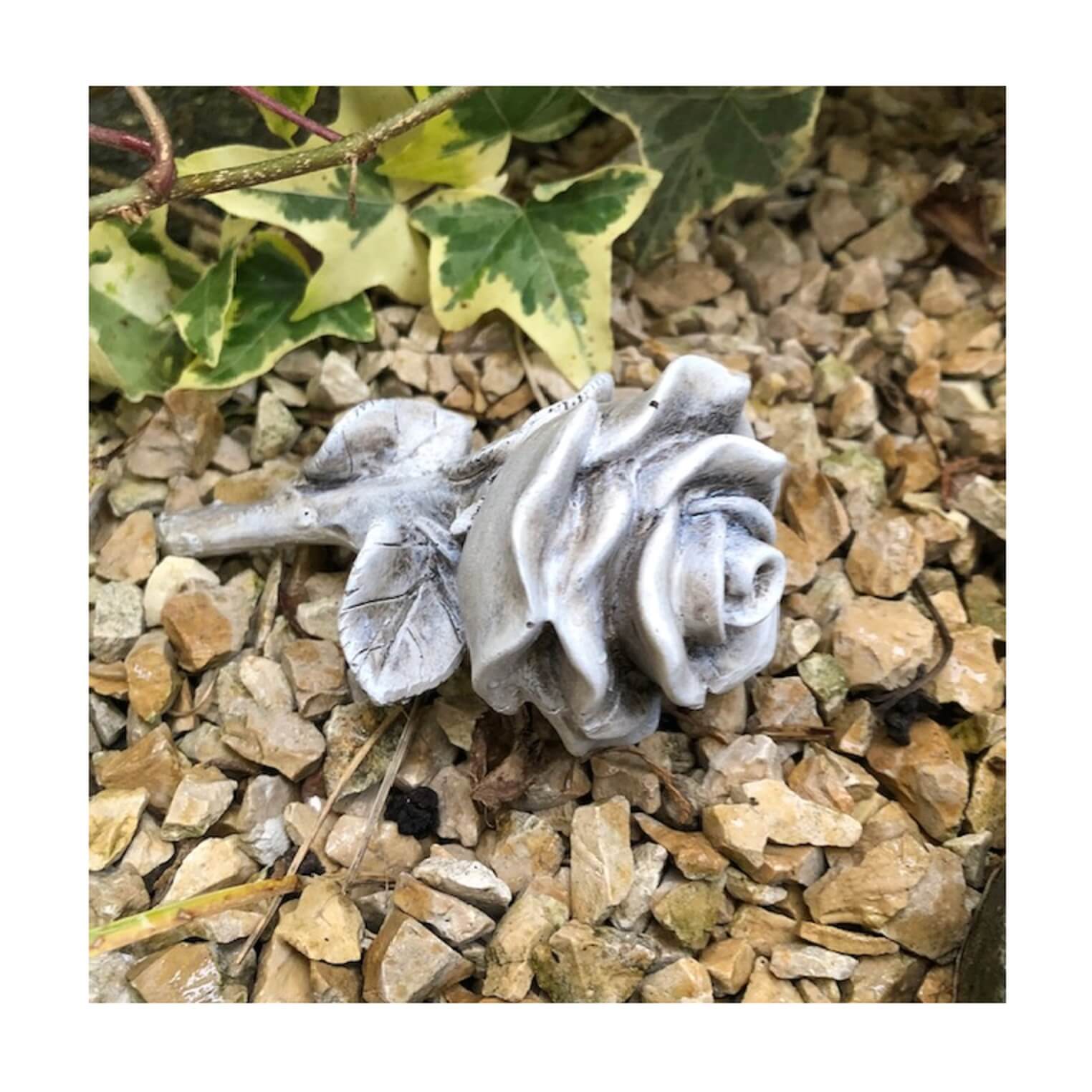 Rose Stielrose 13 cm Rose Stielrose 13 cm