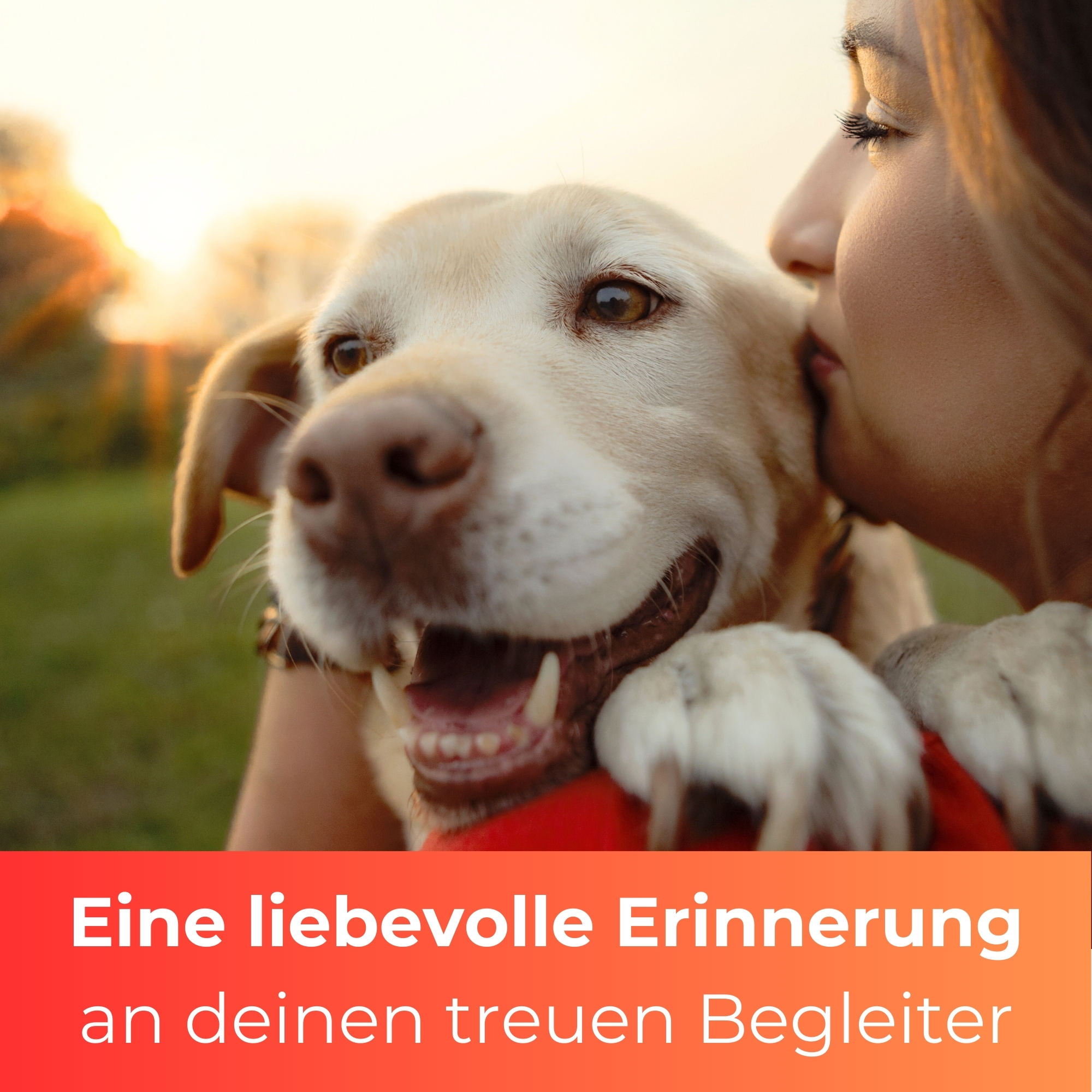 Kopie von Personalisiertes Hunde Labrador Grabherz mit Name – Grabschmuck mit Gravur | 13 cm Steinguss Herz | Andenken, Grabstein, wetterfest #1