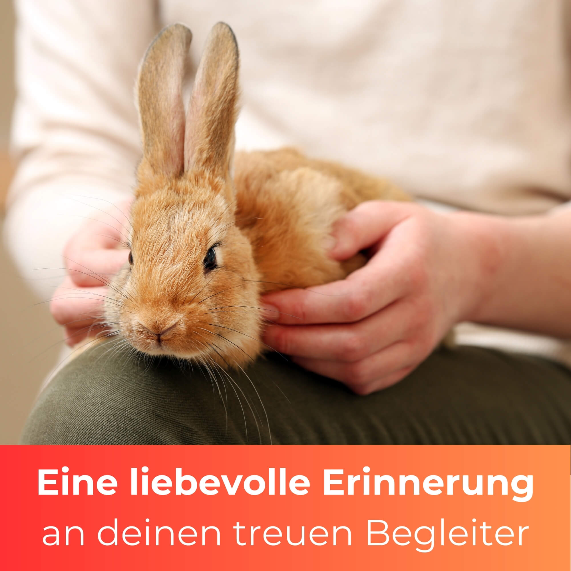 Personalisiertes Kaninchen, Hasen Grabherz mit Name – Grabschmuck mit Gravur | 13 cm Steinguss Herz | Andenken, Grabstein, wetterfest