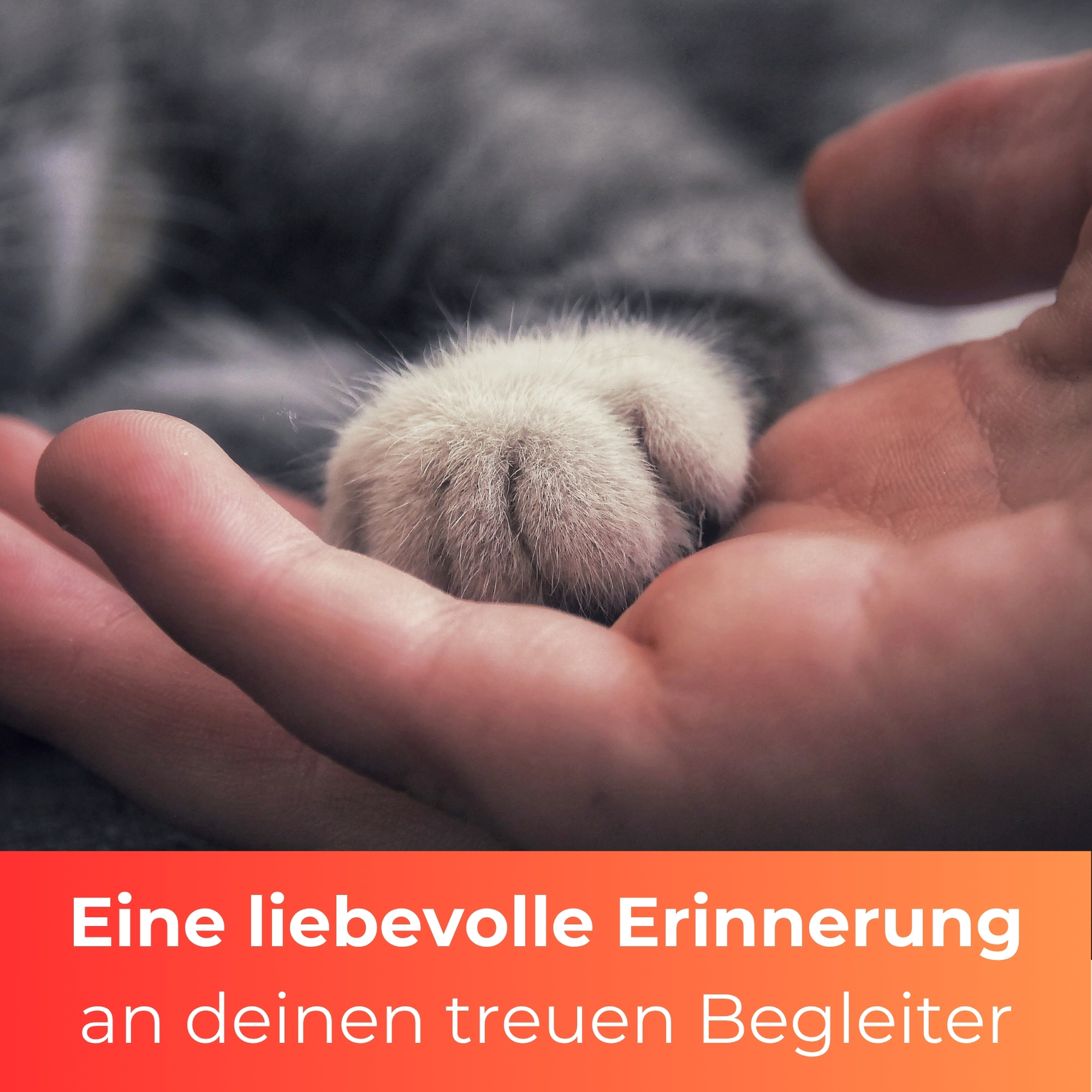 Personalisiertes Katze/Kater Grabherz mit Name – Grabschmuck mit Gravur | 13 cm Steinguss Herz | Andenken, Grabstein, wetterfest